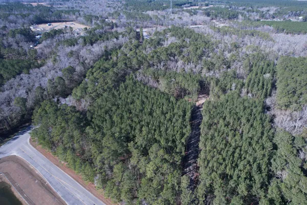 $389,000 | 31.40-acres-tbd Pennyroyal Road, Georgetown, SC 29440