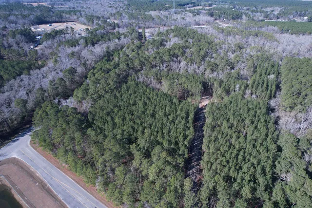 $392,000 | 31.40-acres-tbd Pennyroyal Road, Georgetown, SC 29440