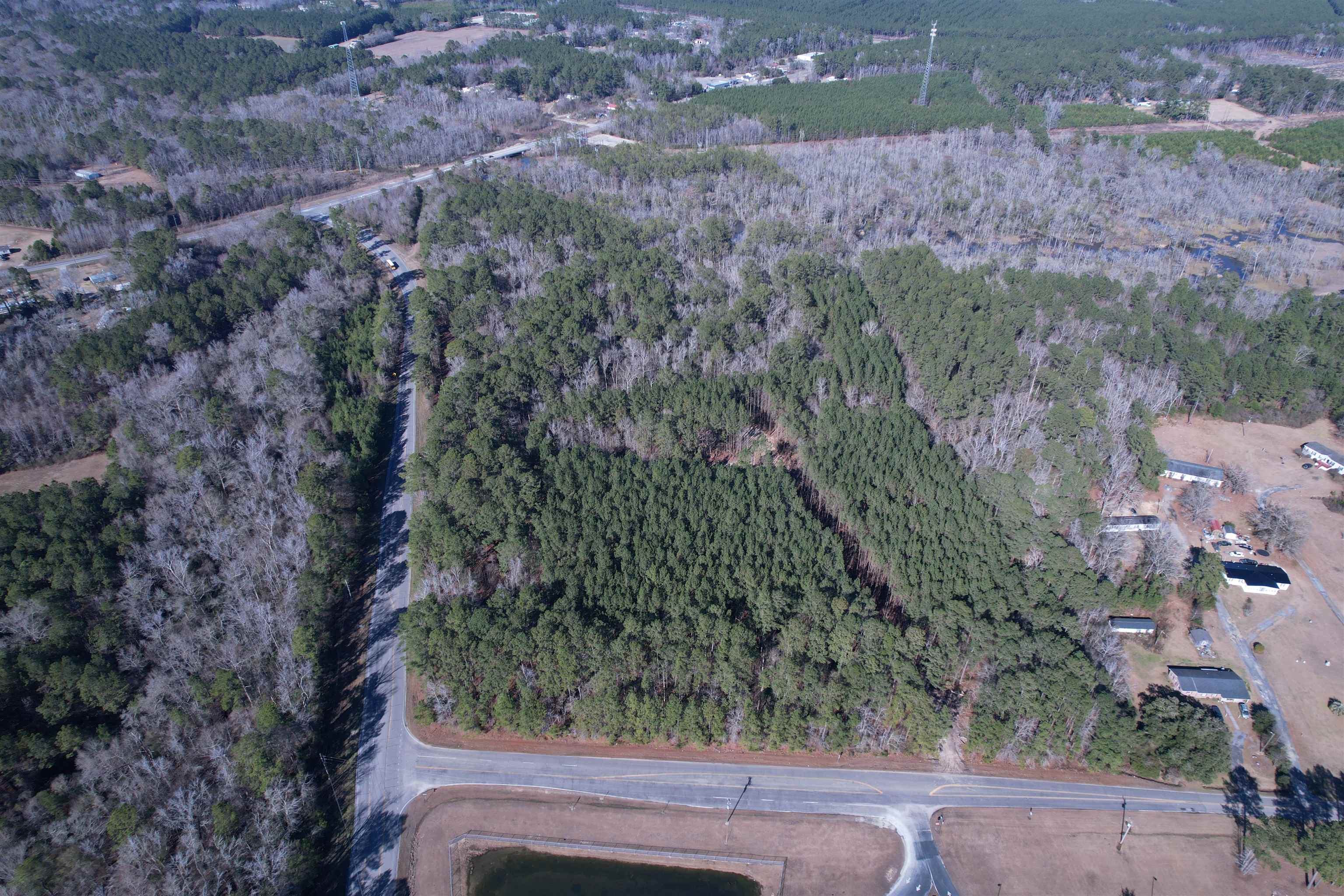 31.40-acres-tbd Pennyroyal Road Georgetown, SC 29440 - Photo 12 of 27