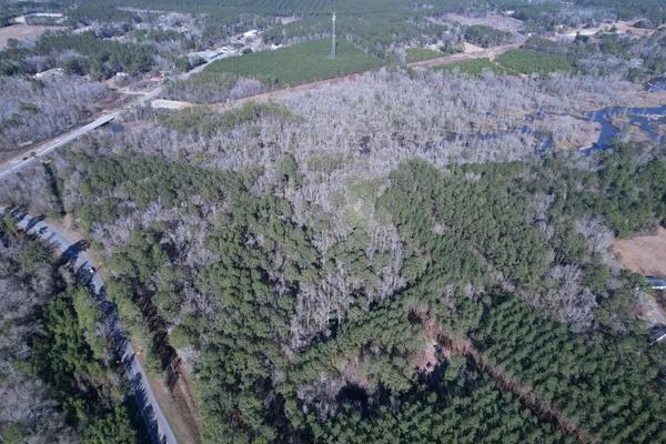 $389,000 | 31.40-acres-tbd Pennyroyal Road, Georgetown, SC 29440