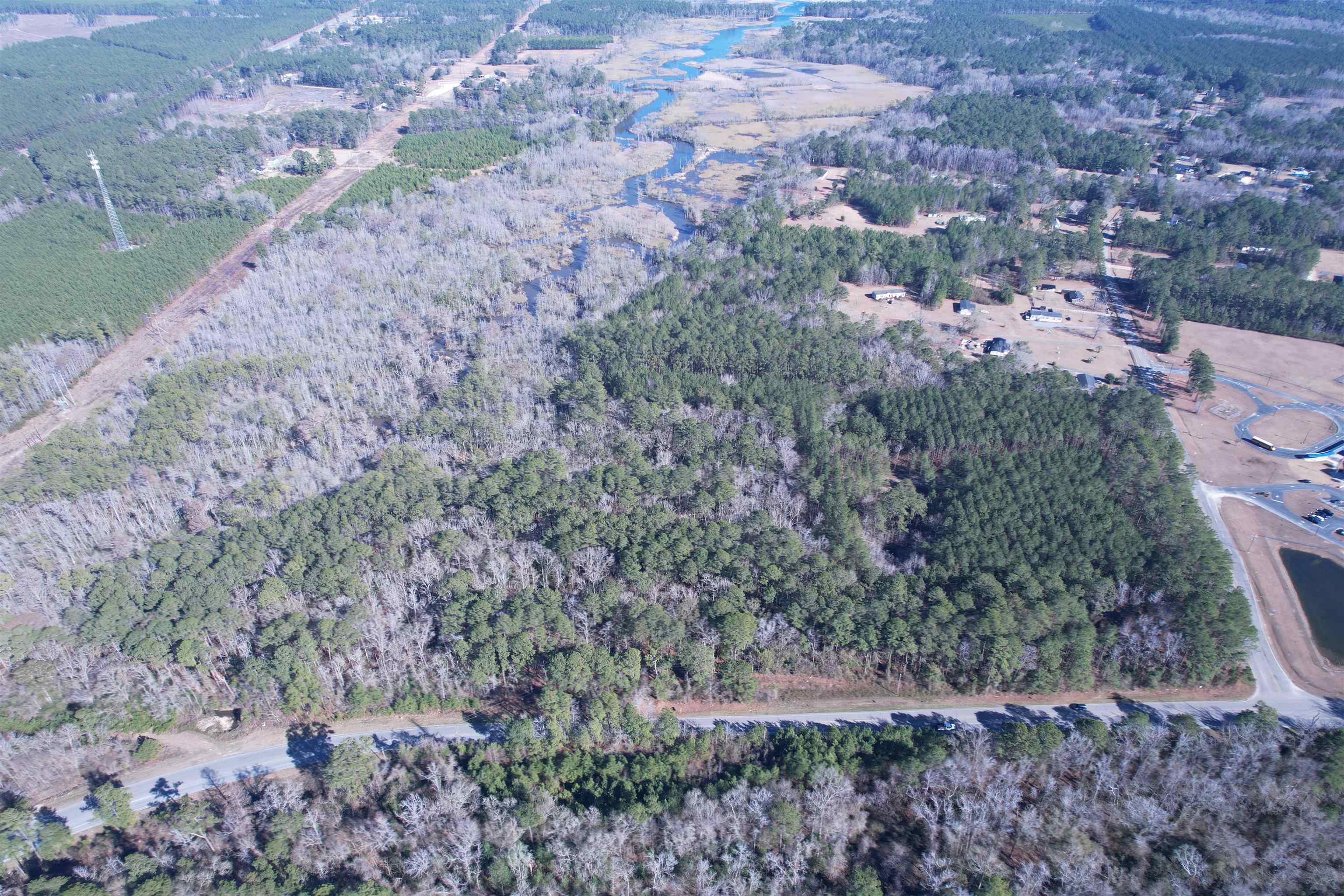 31.40-acres-tbd Pennyroyal Road Georgetown, SC 29440 - Photo 14 of 27