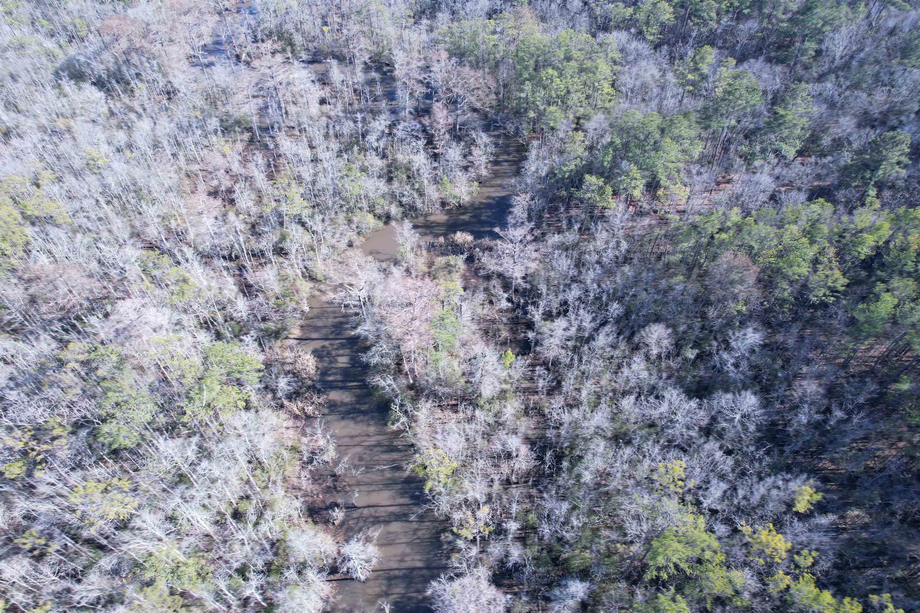 31.40-acres-tbd Pennyroyal Road Georgetown, SC 29440 - Photo 15 of 27