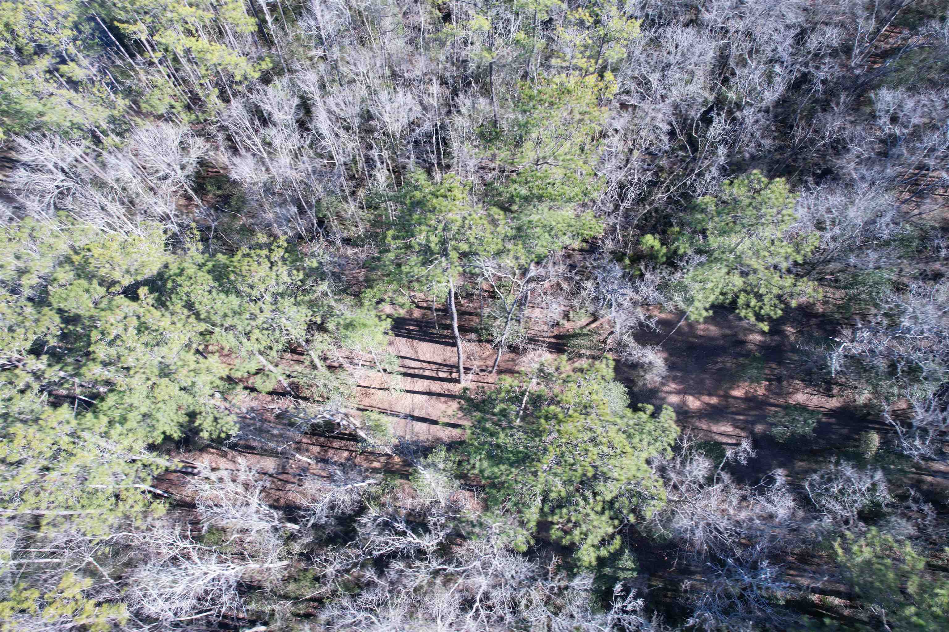 31.40-acres-tbd Pennyroyal Road Georgetown, SC 29440 - Photo 16 of 27