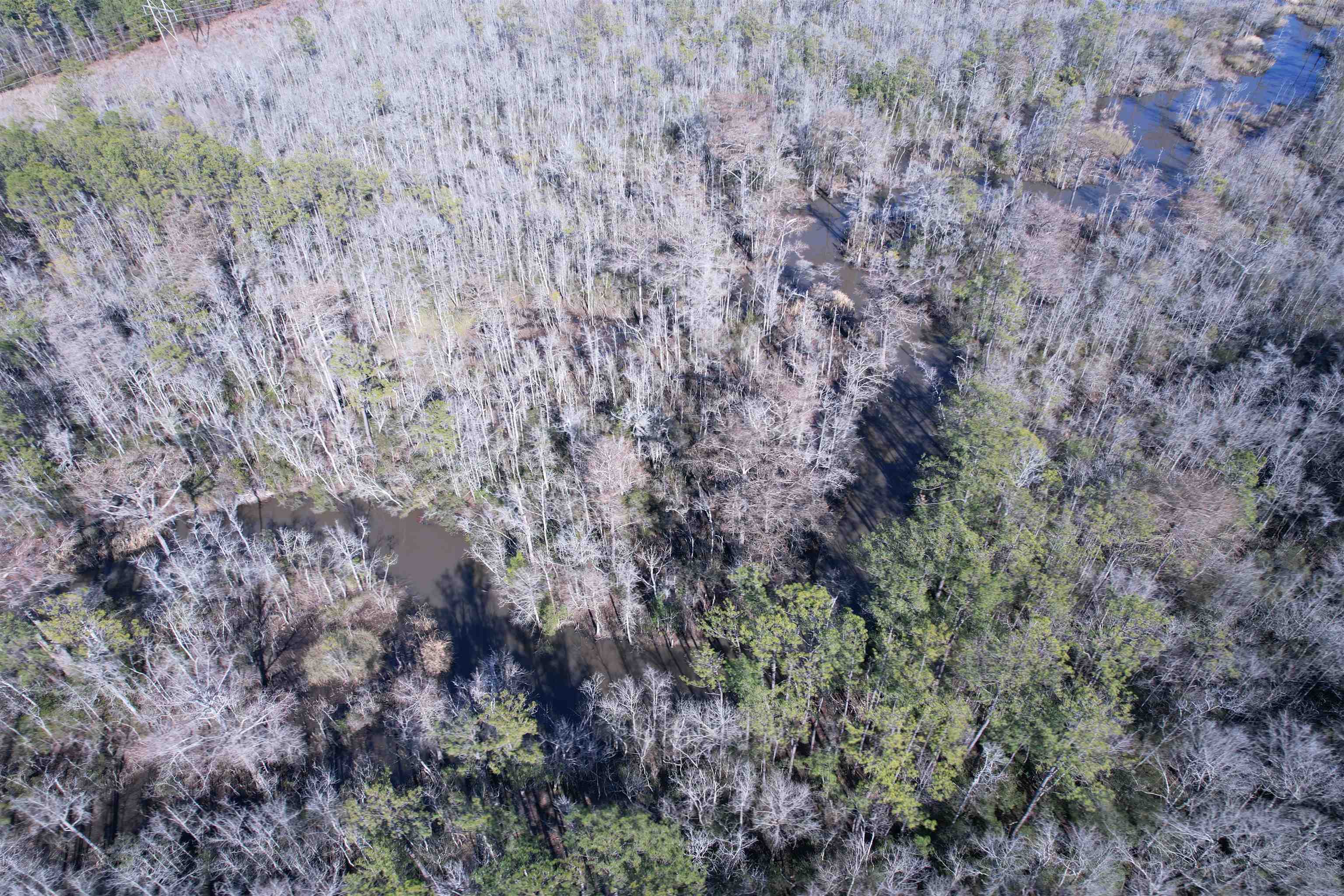 31.40-acres-tbd Pennyroyal Road Georgetown, SC 29440 - Photo 17 of 27