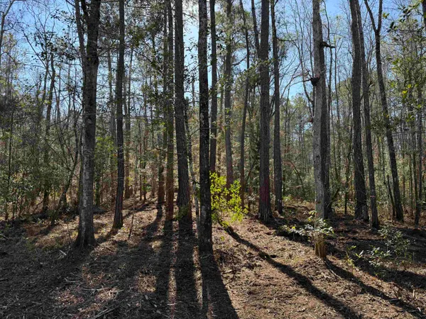 $389,000 | 31.40-acres-tbd Pennyroyal Road, Georgetown, SC 29440