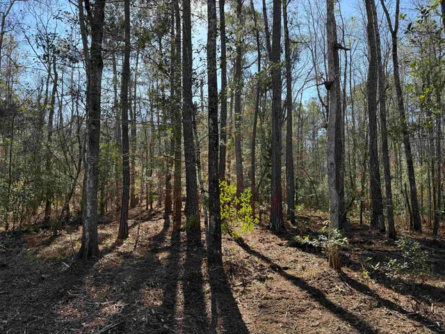 $392,000 | 31.40-acres-tbd Pennyroyal Road, Georgetown, SC 29440