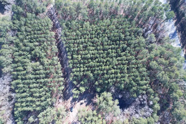 $389,000 | 31.40-acres-tbd Pennyroyal Road, Georgetown, SC 29440