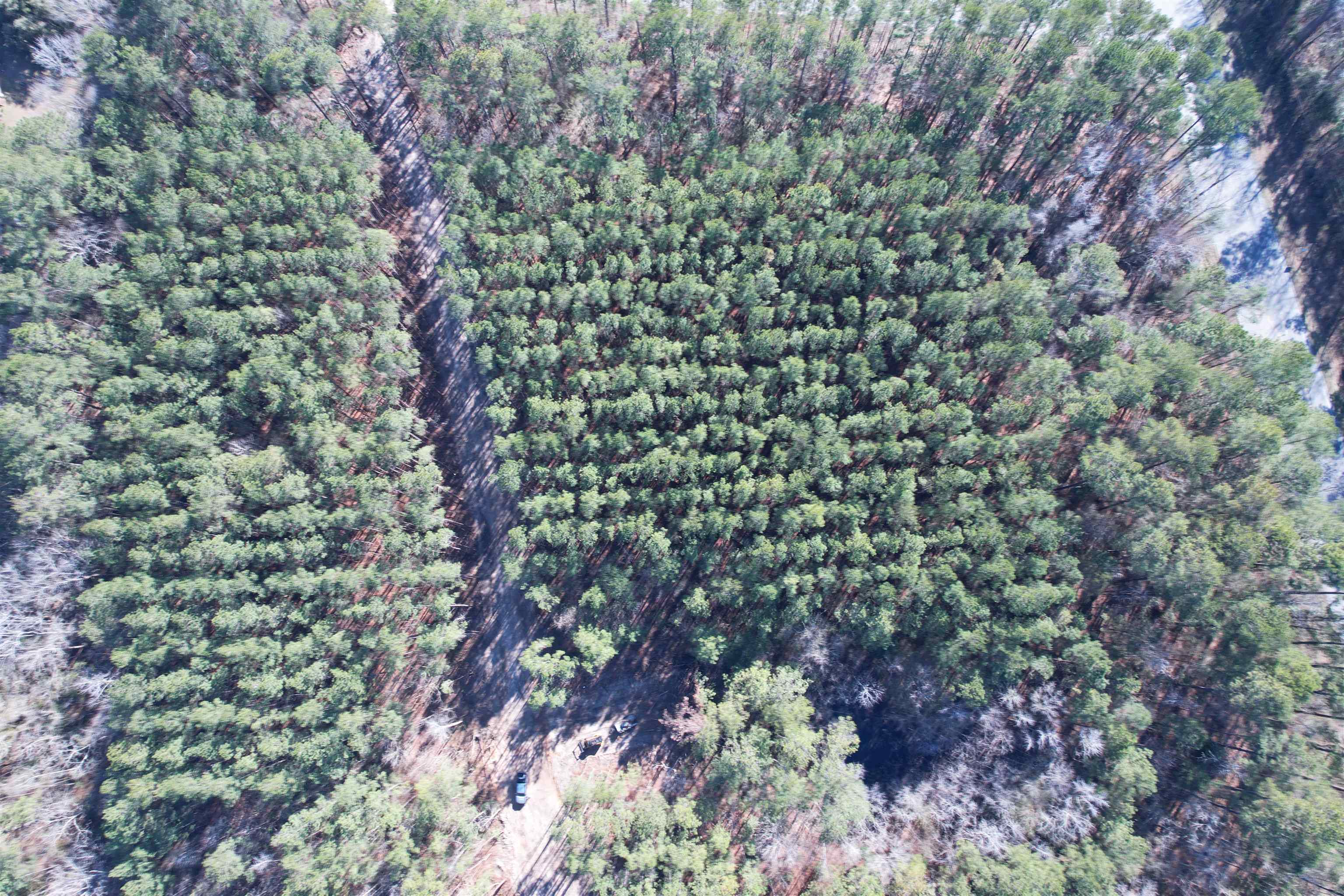 31.40-acres-tbd Pennyroyal Road Georgetown, SC 29440 - Photo 21 of 27