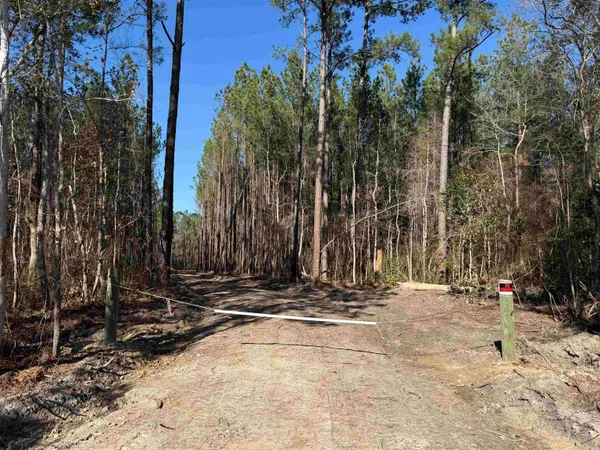 $389,000 | 31.40-acres-tbd Pennyroyal Road, Georgetown, SC 29440