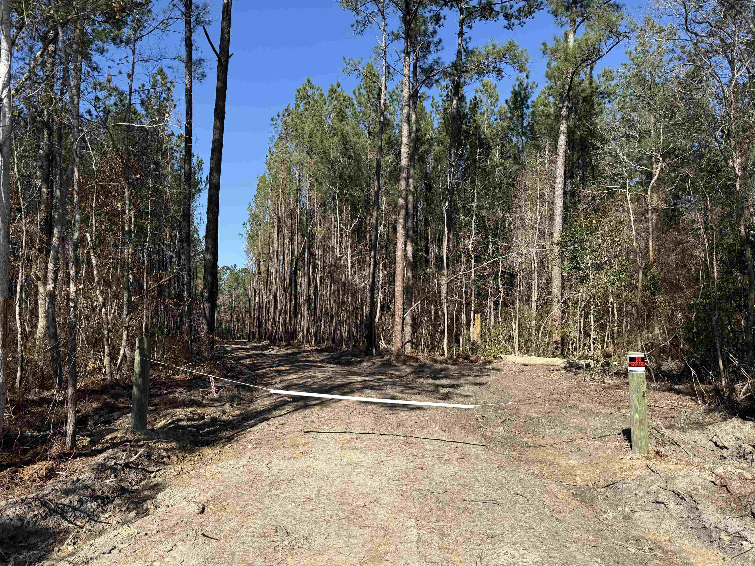 31.40-acres-tbd Pennyroyal Road Georgetown, SC 29440 - Photo 23 of 27