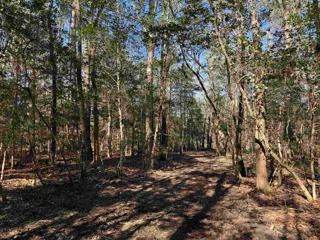$392,000 | 31.40-acres-tbd Pennyroyal Road, Georgetown, SC 29440