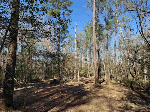 $389,000 | 31.40-acres-tbd Pennyroyal Road, Georgetown, SC 29440