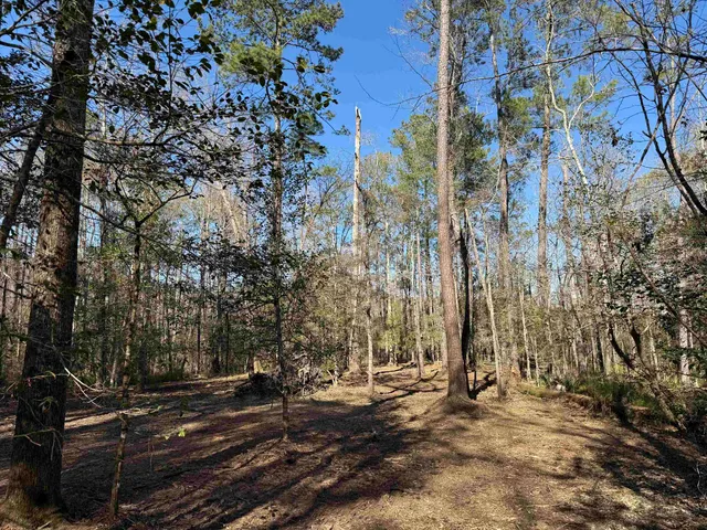 $392,000 | 31.40-acres-tbd Pennyroyal Road, Georgetown, SC 29440