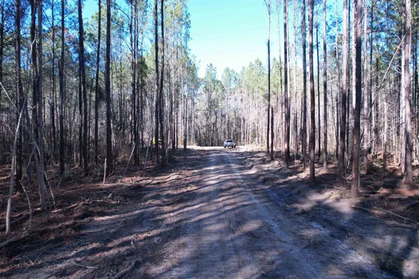 $389,000 | 31.40-acres-tbd Pennyroyal Road, Georgetown, SC 29440