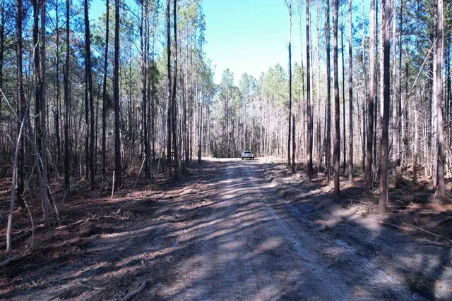 $392,000 | 31.40-acres-tbd Pennyroyal Road, Georgetown, SC 29440