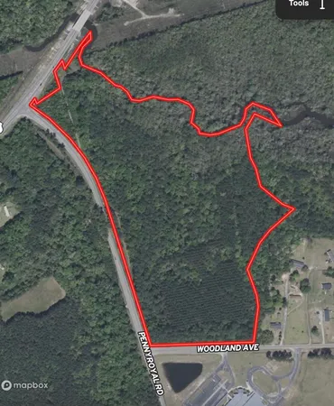 $389,000 | 31.40-acres-tbd Pennyroyal Road, Georgetown, SC 29440