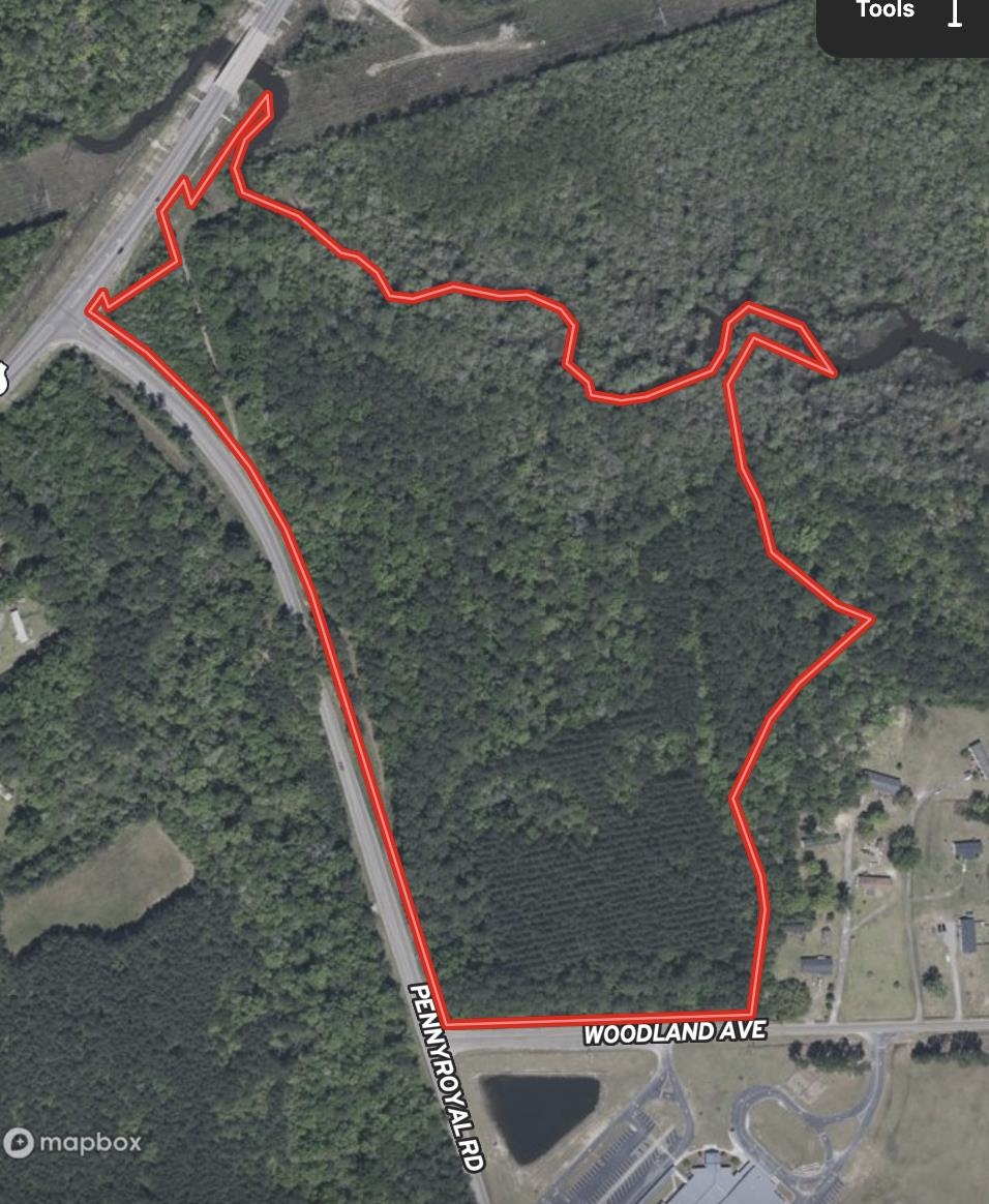 31.40-acres-tbd Pennyroyal Road Georgetown, SC 29440 - Photo 27 of 27