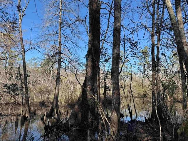 $392,000 | 31.40-acres-tbd Pennyroyal Road, Georgetown, SC 29440