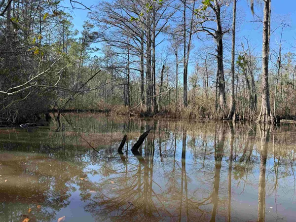 $389,000 | 31.40-acres-tbd Pennyroyal Road, Georgetown, SC 29440