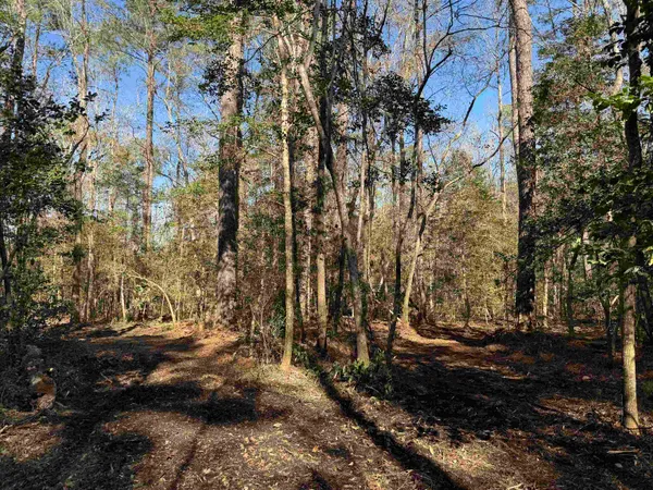 $389,000 | 31.40-acres-tbd Pennyroyal Road, Georgetown, SC 29440