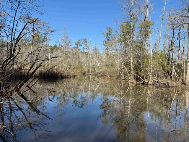 $392,000 | 31.40-acres-tbd Pennyroyal Road, Georgetown, SC 29440