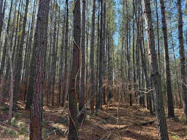 $389,000 | 31.40-acres-tbd Pennyroyal Road, Georgetown, SC 29440