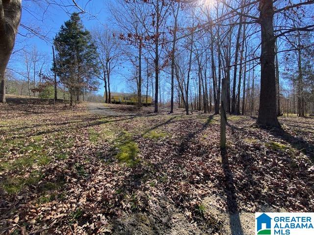 475 Crawfish Lane Ragland, AL 35131 - Photo 6 of 24