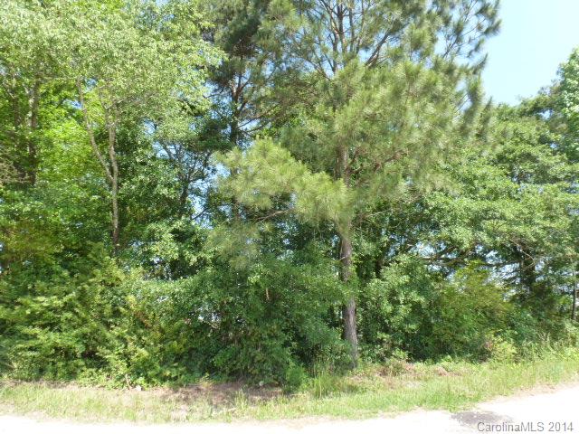 94 Horne Twitty Road Heath Springs, SC 29058 - Photo 3 of 23 Gallery Image 3