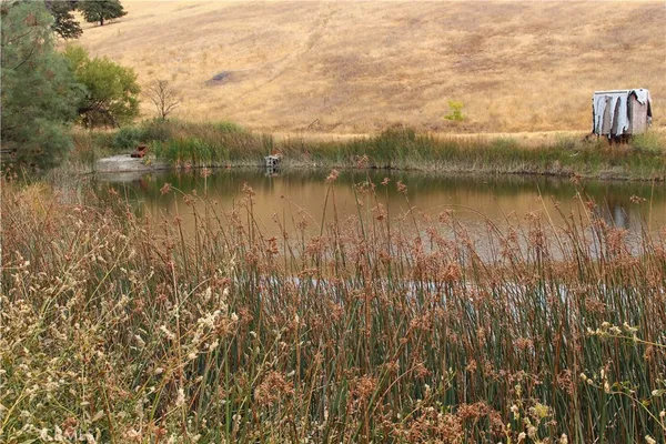 a view of a yard along with trees