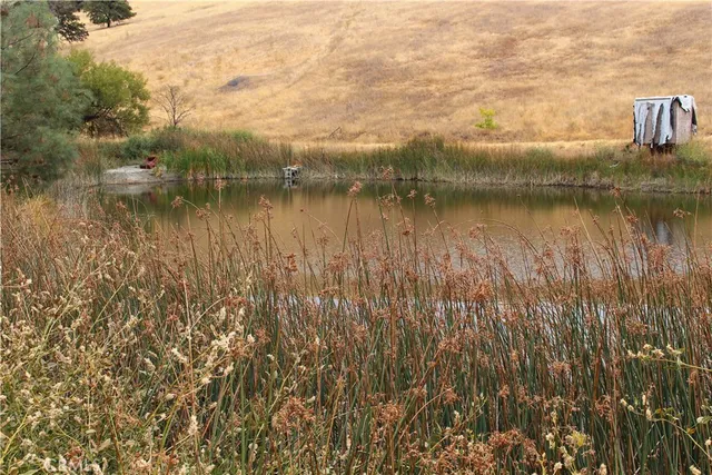 a view of a yard along with trees