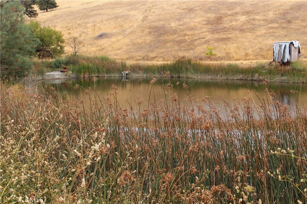 8740 Rocky Creek Road Lower Lake, CA 95457 - Photo 11 of 38 a view of lake