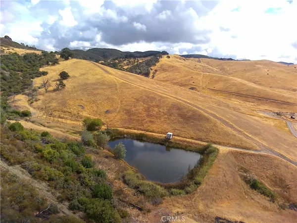 a view of a lake with a tree in the background