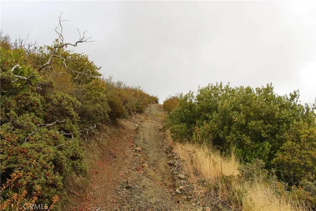 a view of a lake with a mountain in the background