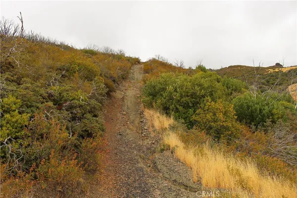 a backyard of a house