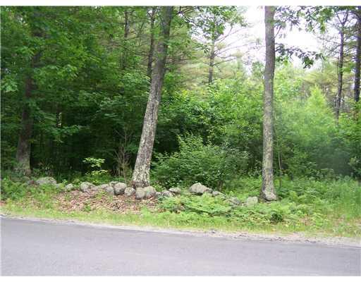 Land/Lot. 2.5 acres with stone wall.