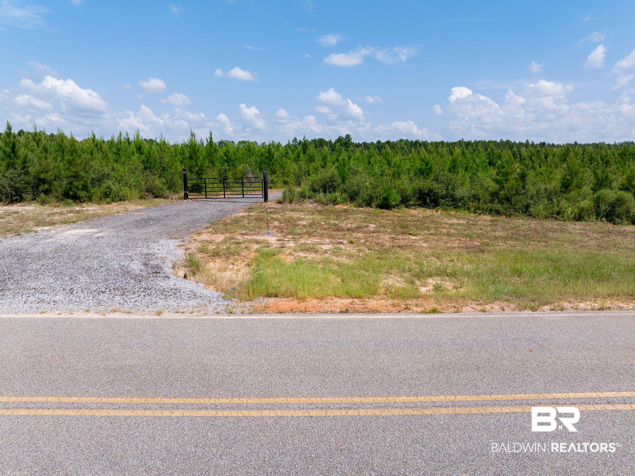 18813 Horseneck Road Bay Minette, AL 36507 - Photo 4 of 16 View of street