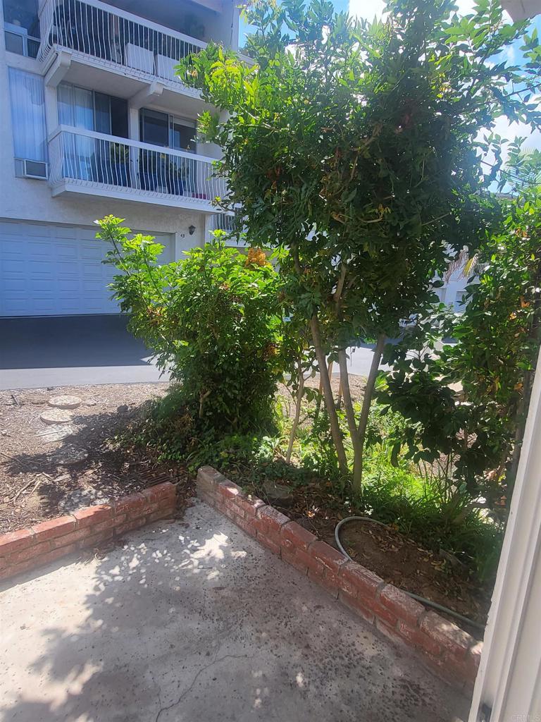 2319 Caringa Way, Unit 56 Carlsbad, CA 92009 - Photo 19 of 24 a backyard of a house with lots of green space