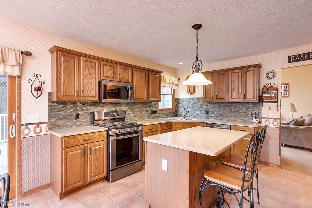 5259 South Ridge Road West Ashtabula, OH 44004 - Photo 22 of 35