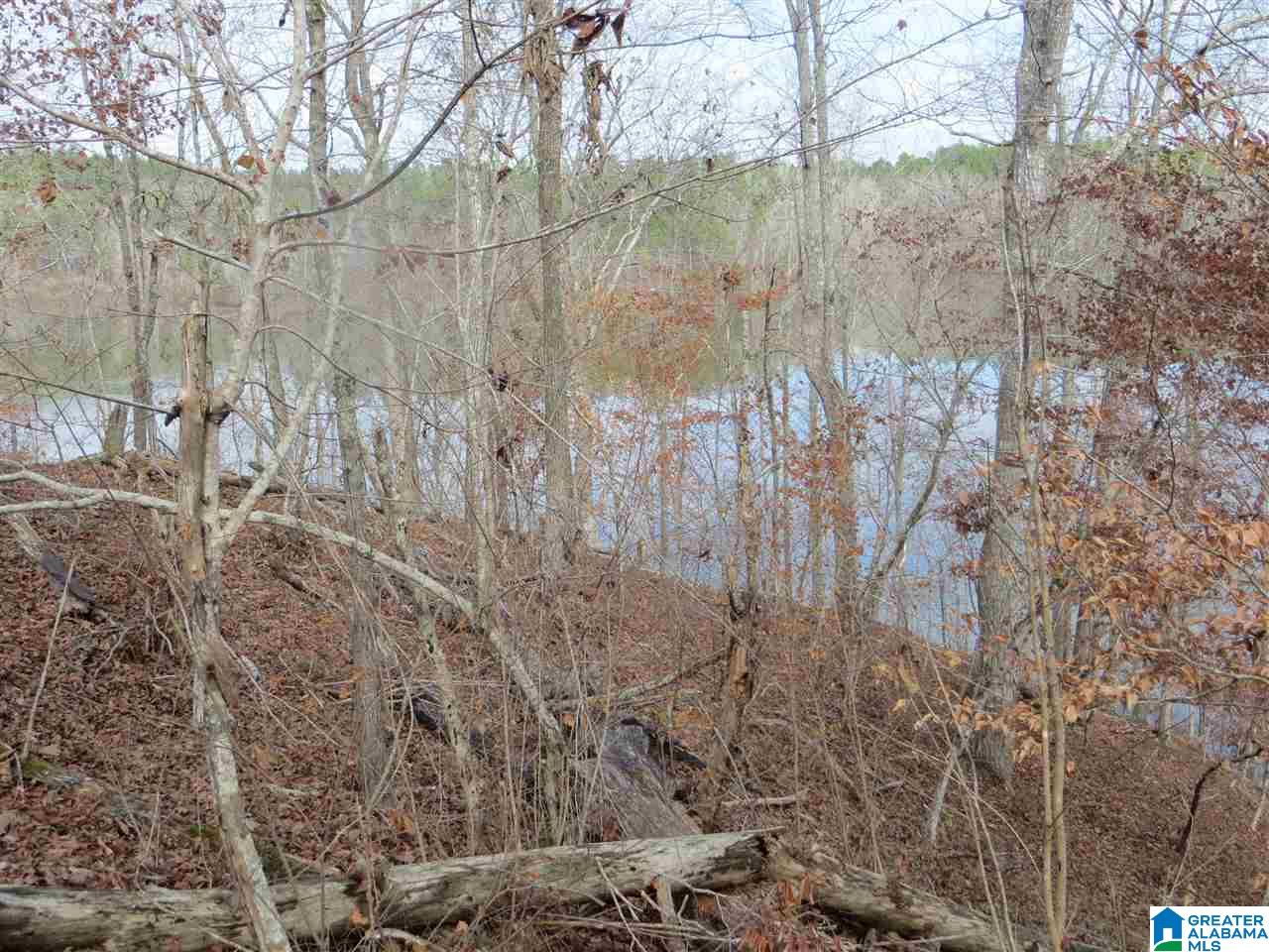 Lot 3 Eagle Mountain Road, Unit 3 Alexander City, AL 35010 - Photo 3 of 6