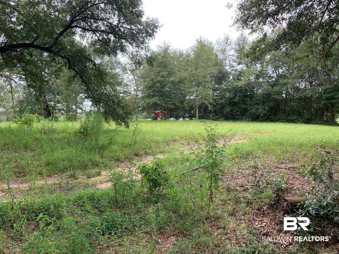 1 John Sims Road Wilmer, AL 36587 - Photo 3 of 4
