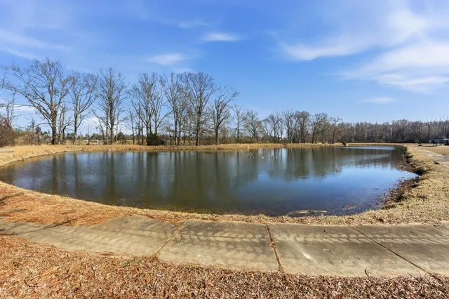 $950,000 | 4983 Rowen Oak Road, Collierville, TN 38017