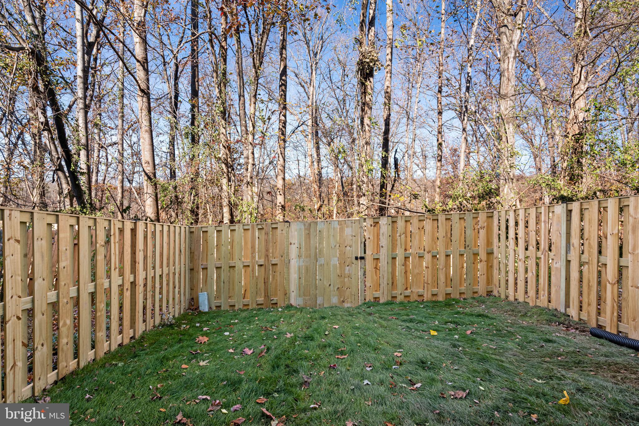 407 Kings Crest Drive Stafford, VA 22554 - Photo 37 of 42 a view of yard with large trees