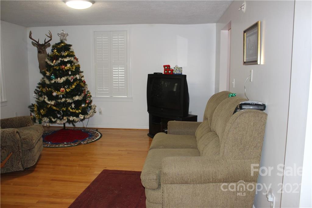 718 Bald Mountain Road Burnsville, NC 28714 - Photo 5 of 20 a living room with furniture and a potted plant