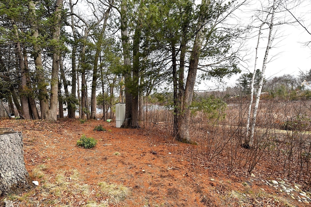 16 Black Point Road Webster, MA 01570 - Photo 9 of 14 a view of a tree in the middle of a yard