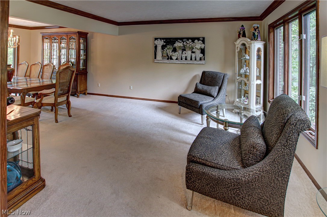 77 Carr Road Hinckley, OH 44233 - Photo 26 of 35
