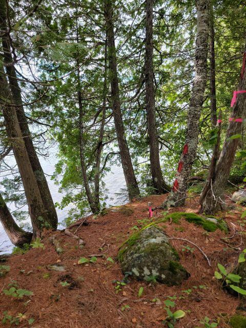 1 Railroad Bed Rd Lake View Milo, ME 04463 - Photo 6 of 27 survey marking