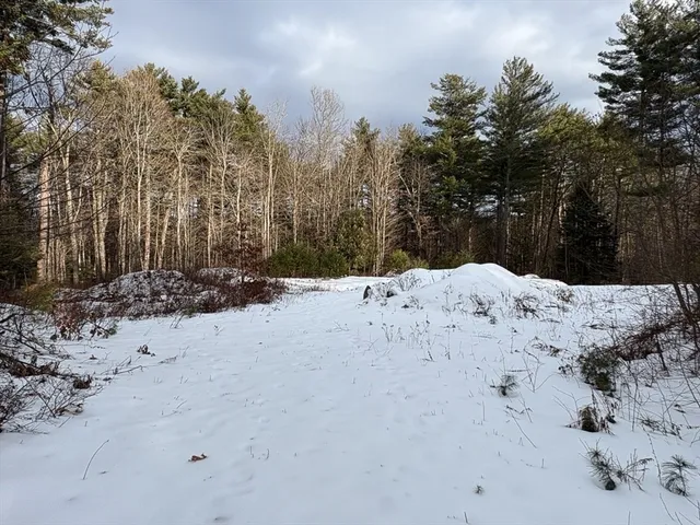 a view of snow on the beach
