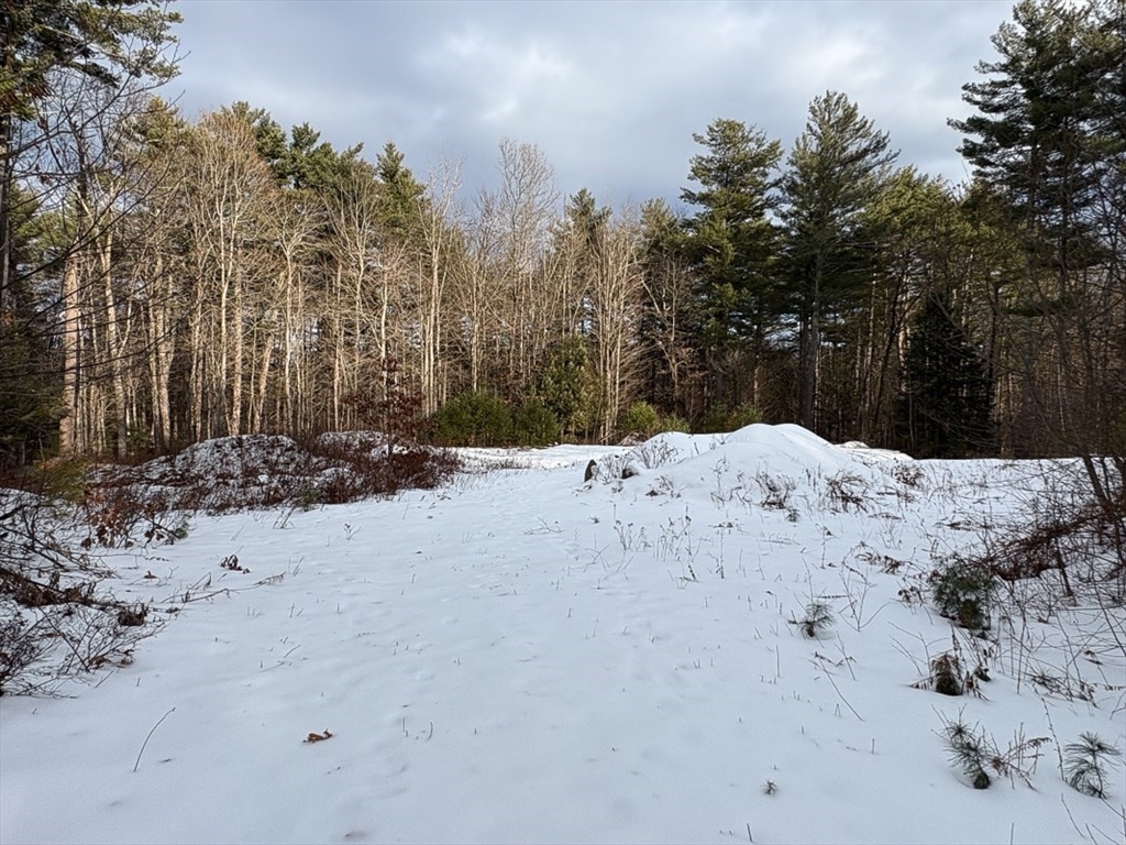 53 West Meadow Road Townsend, MA 01474 - Photo 11 of 21 a view of snow on the side of a road