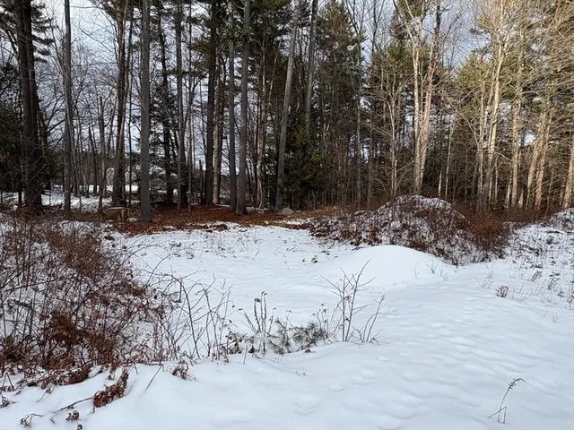 a view of a snow on the side of the road