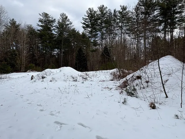 a view of a tree with a yard